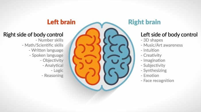 Right brain functions