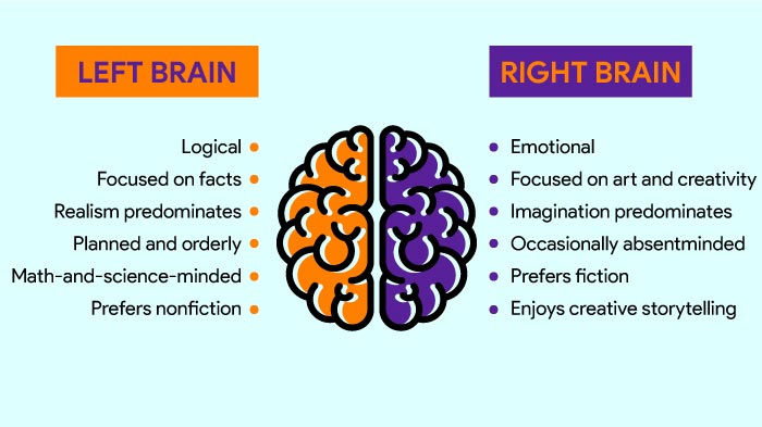 Are you Right-brained? Left-brained? Take the brain test! - MoroccoEnglish