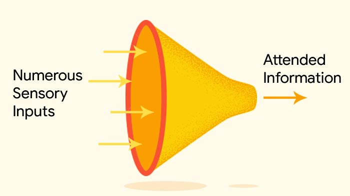 selective attention example