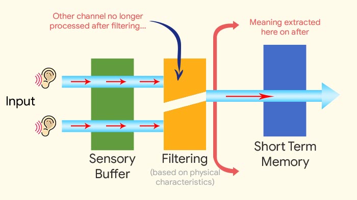 Selective-attention-theory-Broadbent’s-Filter-Model